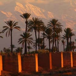 MIRADAS cruzados de dos artistas alemanes en Marrakech