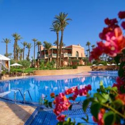 Palmeral aldea